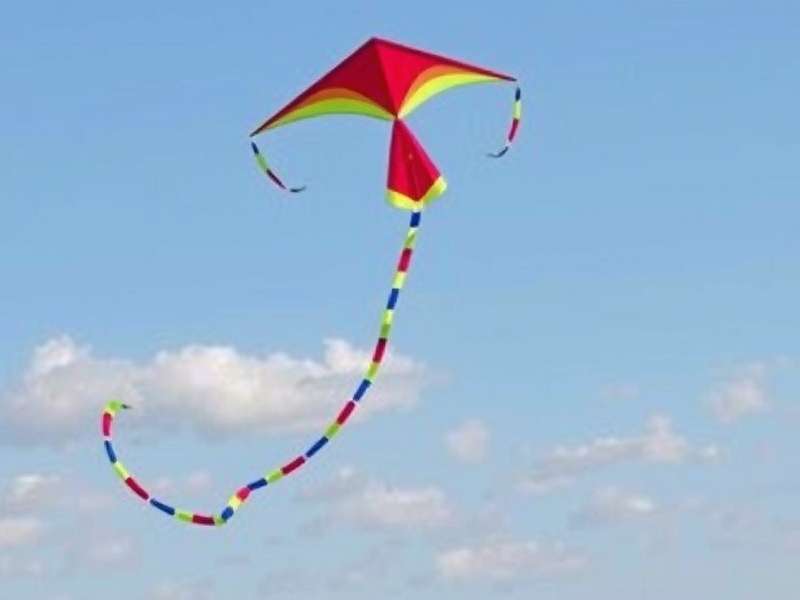 Celebrate Indian Festivals in Kite Flying Adventure Kite Flying Adventure Festival Event